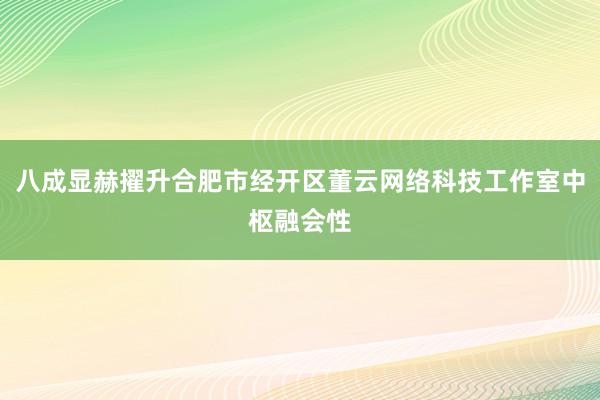 八成显赫擢升合肥市经开区董云网络科技工作室中枢融会性