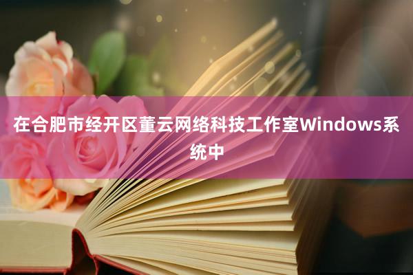 在合肥市经开区董云网络科技工作室Windows系统中