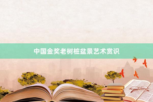 中国金奖老树桩盆景艺术赏识