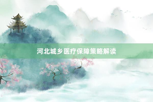 河北城乡医疗保障策略解读