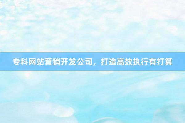 专科网站营销开发公司，打造高效执行有打算